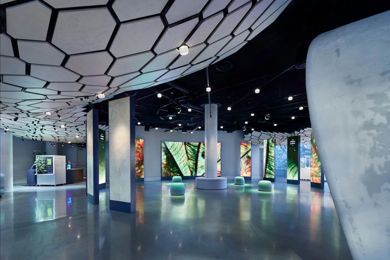 自然与建筑 · 球体的故事-47