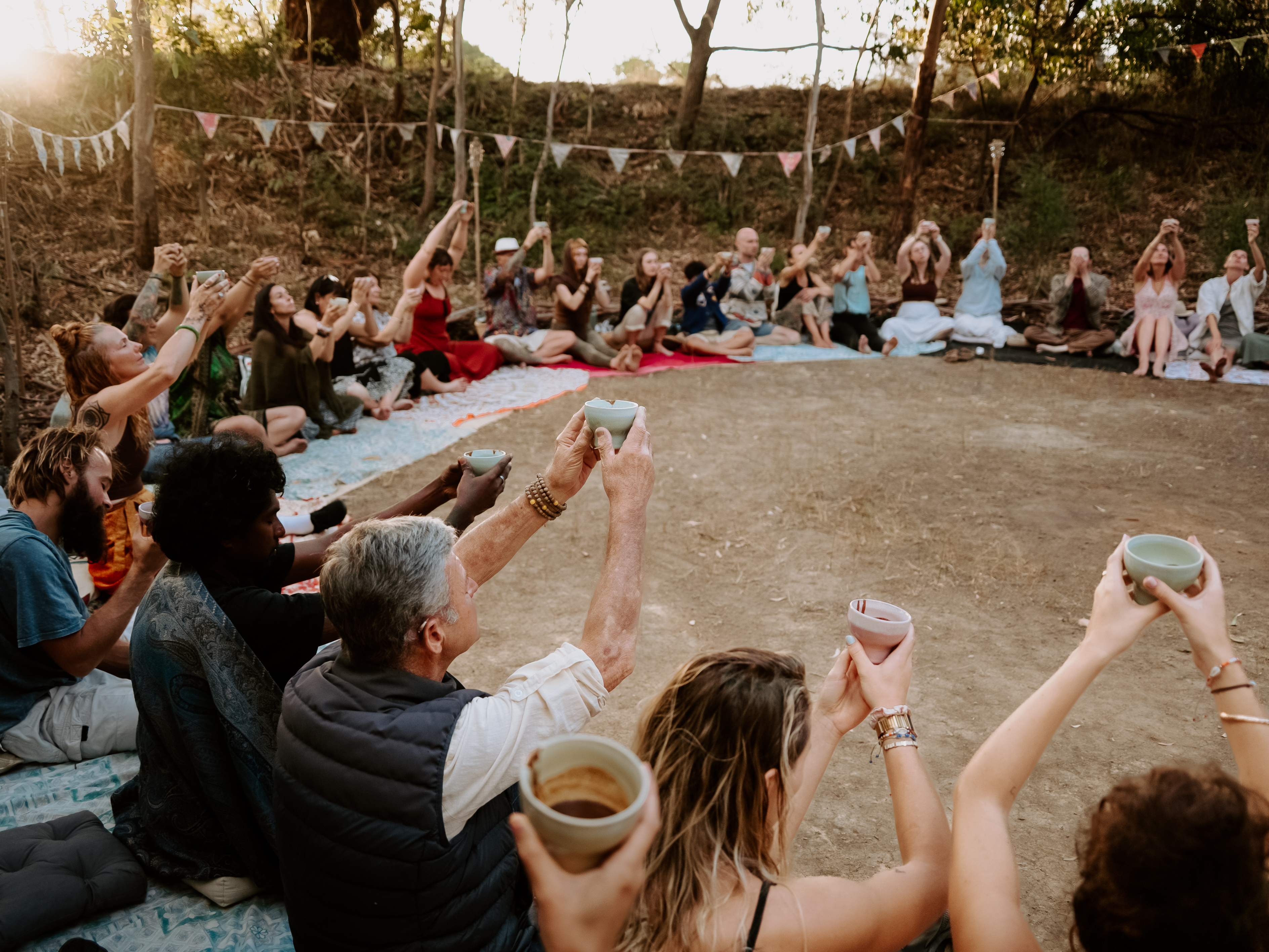 Community Dance Forest-2