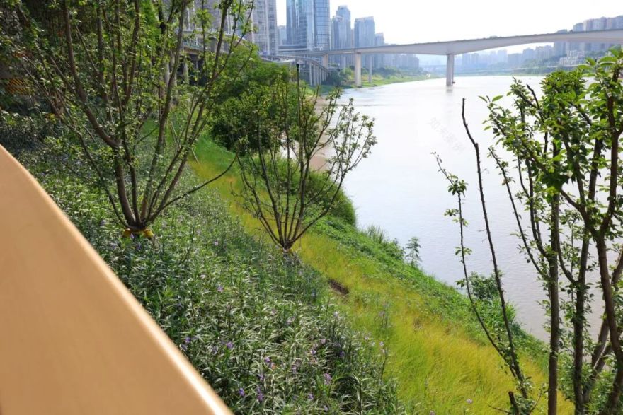 焕新!李子坝片区“两江四岸”治理提升工程基本完工-19