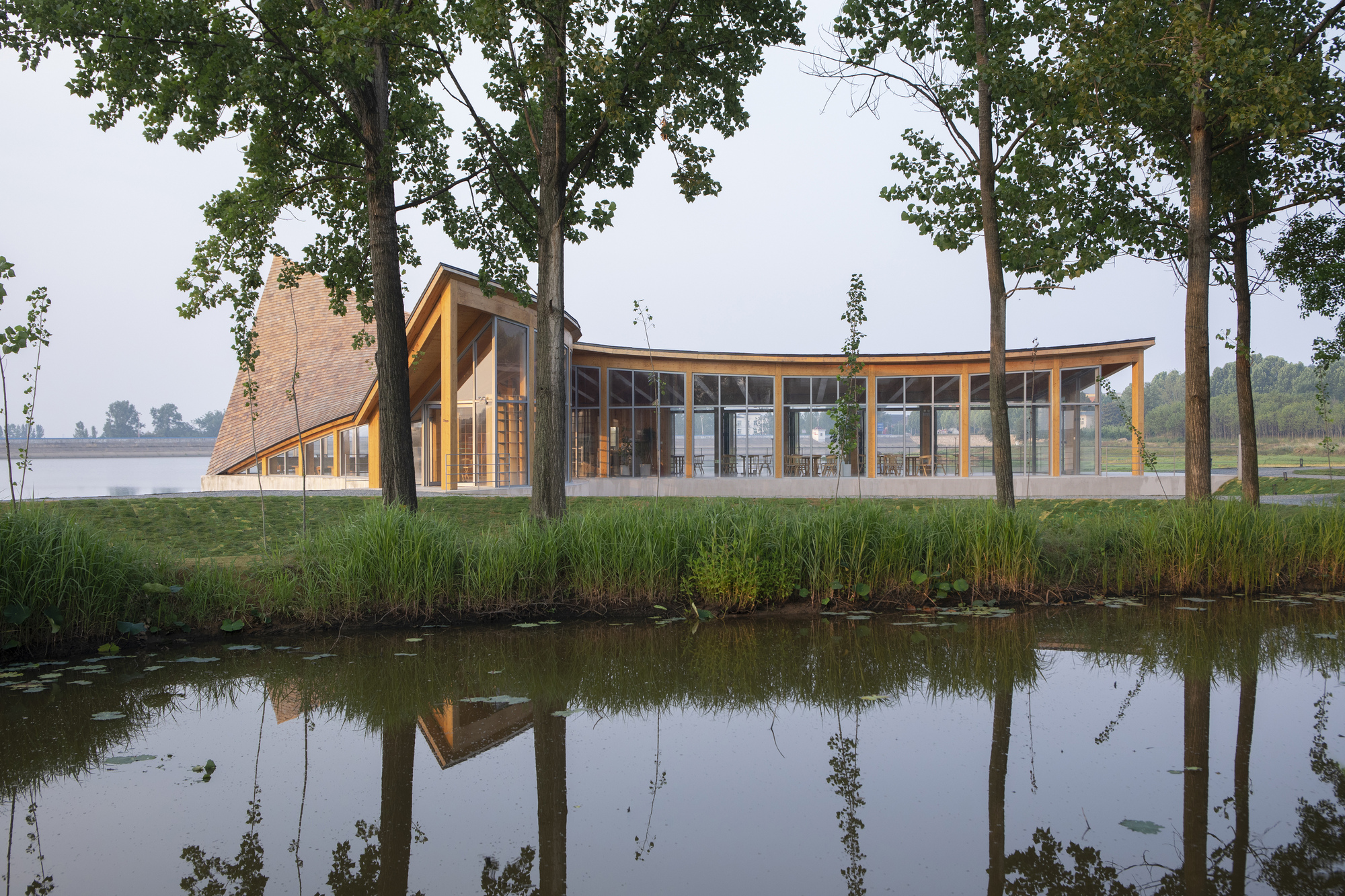 丨中国信阳丨Primary Architects-46