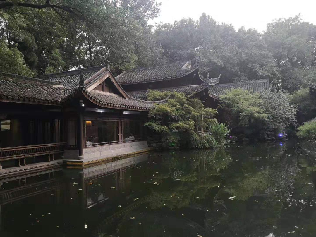 杭州“天堂”的“矫情”生活-11