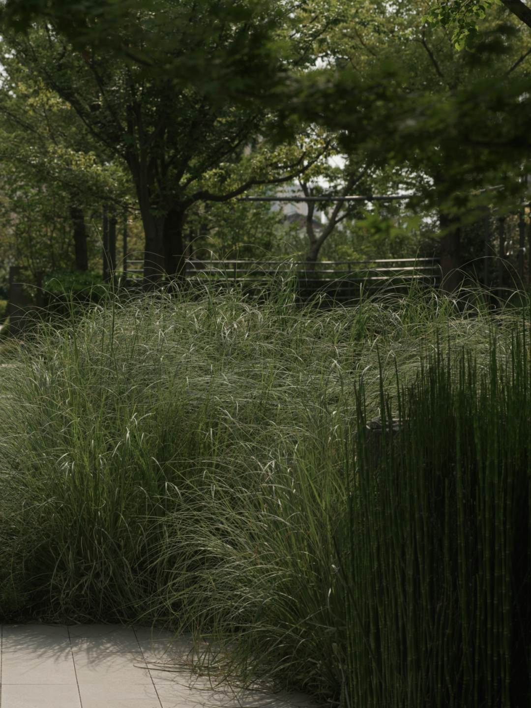 苏州和悦塘前雅院大区丨中国苏州丨MIND迈德景观-99