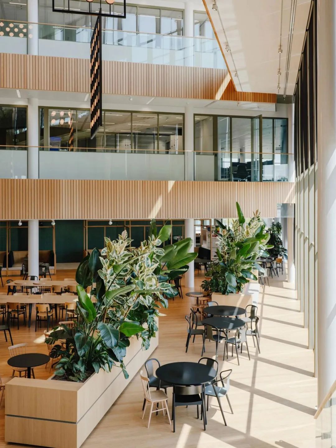 Galapagos企业总部丨荷兰丨CBRE-73