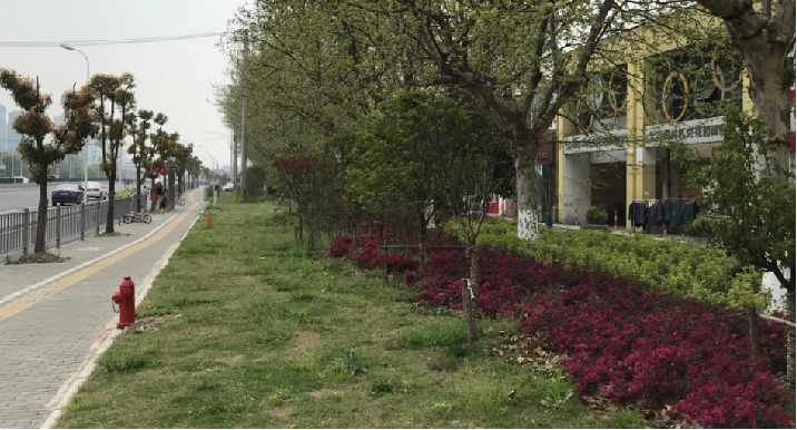 《九里亭景观更新规划与实践》 | 精致共享共治,呈现松江新貌-117