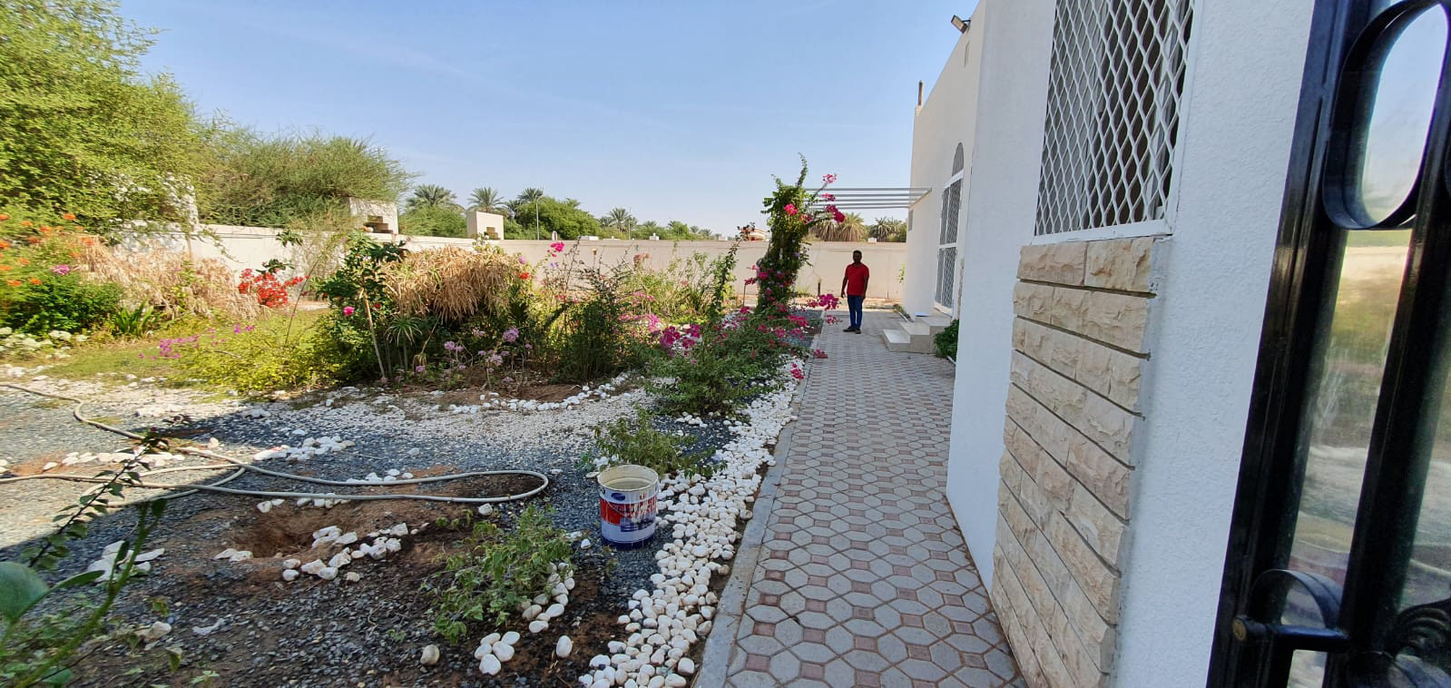 别墅后院花园丨laarte.ae-30