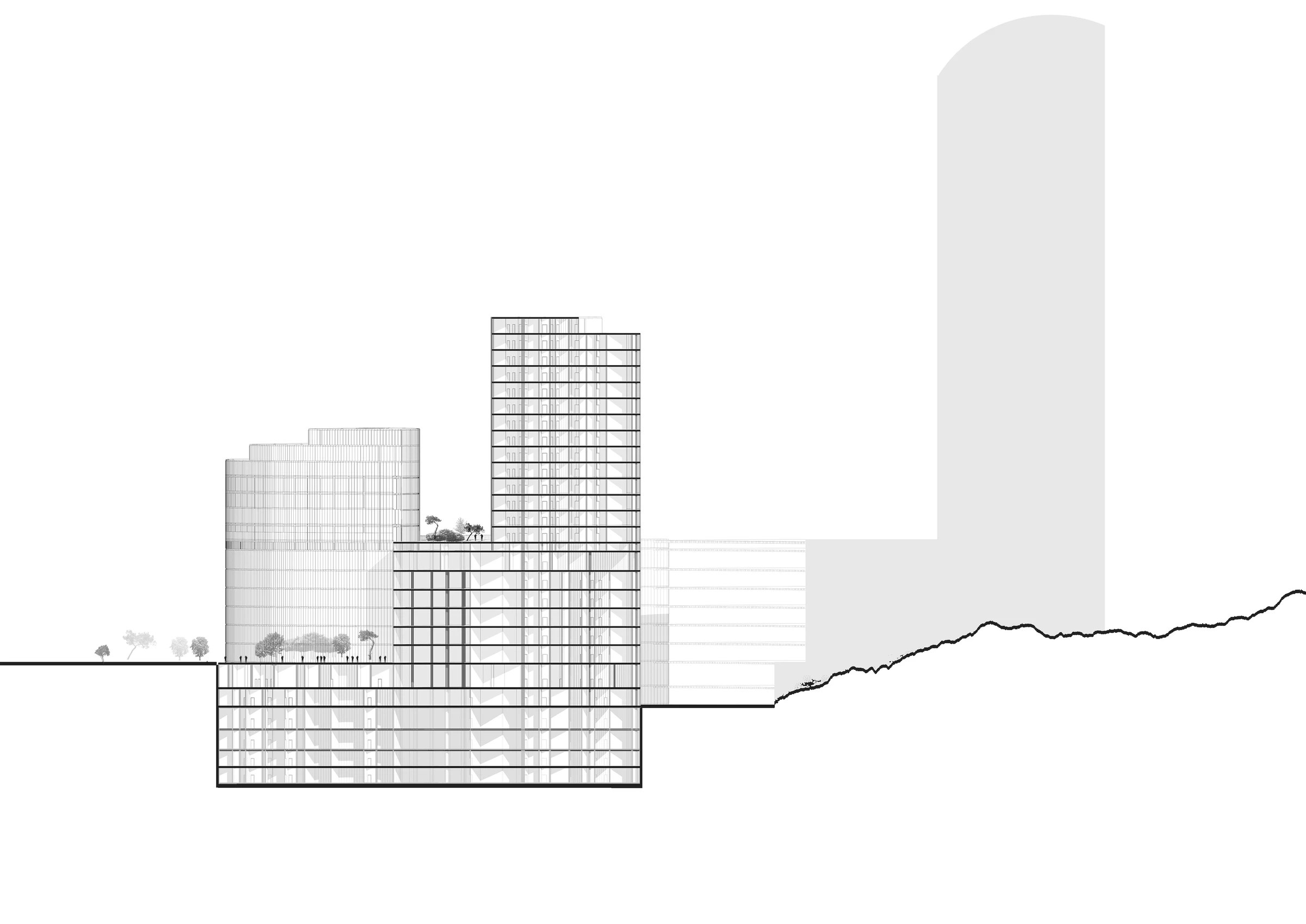 深圳华大基因医院丨中国深圳丨Lemanarc SA-12