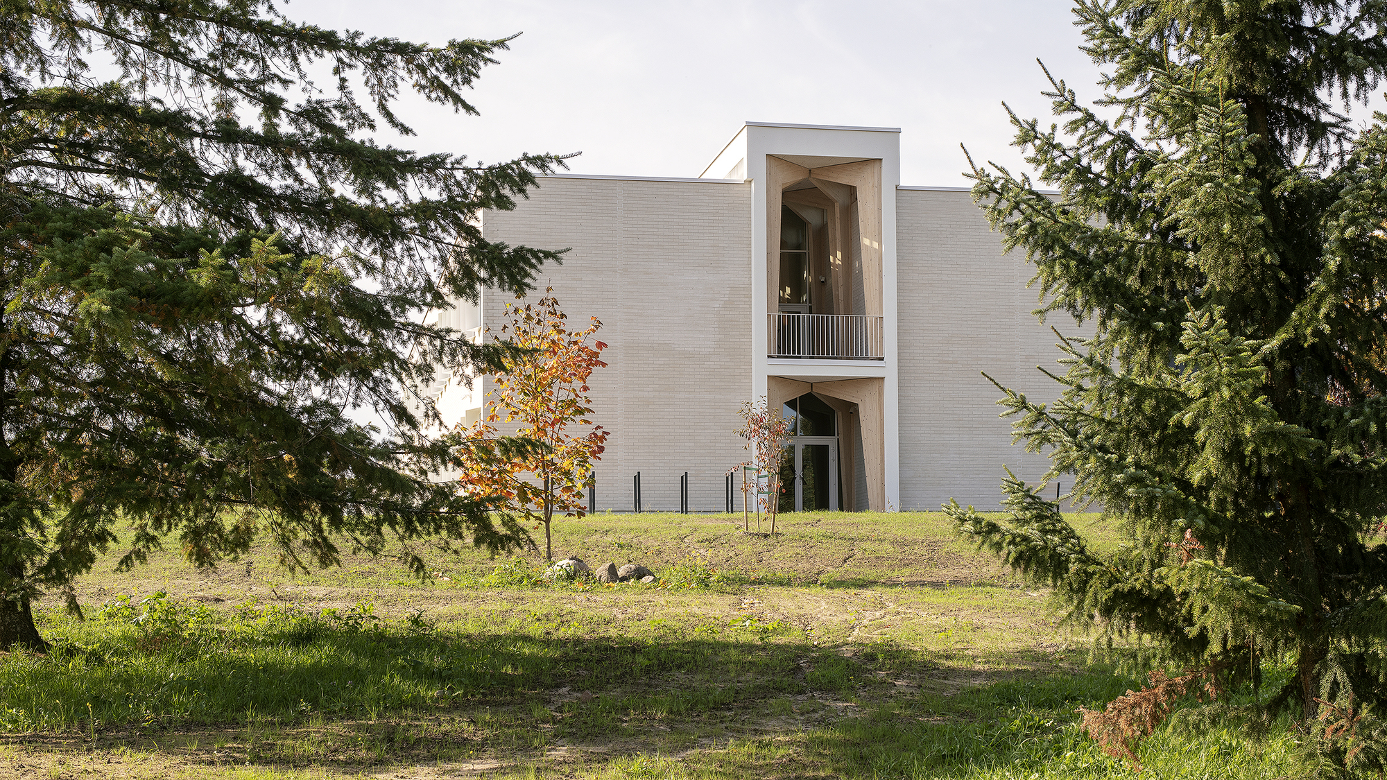 塔比韦雷基础学校丨Arhitekt Must-26