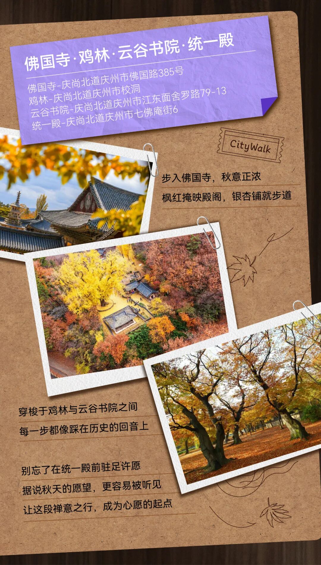 庆州秋日Citywalk地图~用一天时间，收集古都的浪漫碎片-2