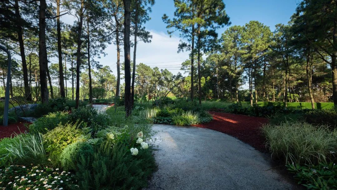 南京颐养中心丨中国南京丨LAURENT罗朗景观·JYL创研工作室-63