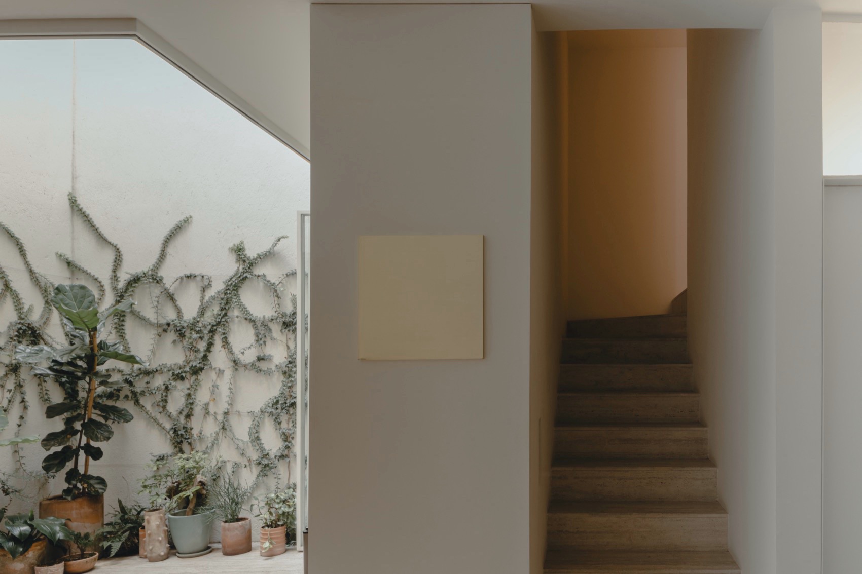 Antonio Solá公寓楼，墨西哥 / Módica Ledezma-35