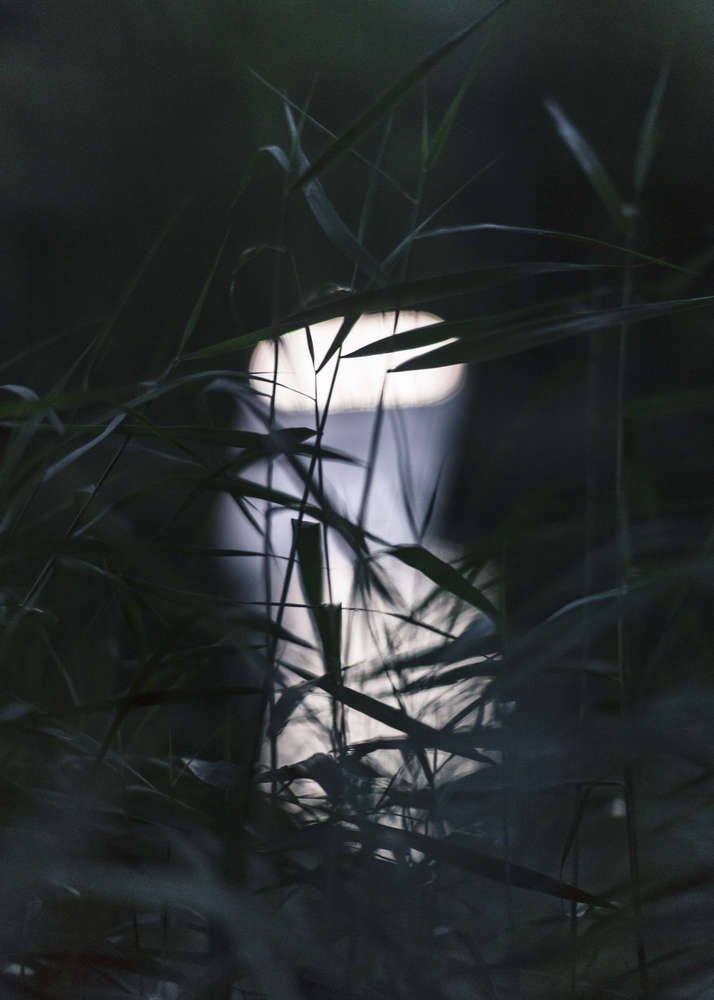 瓦利斯三年展

注：Triennale常见指三年展，Valis不太明确其具体含义，如果它是特定人名、地名、品牌名等，需结合具体背景确定更合适的译法，这里暂按字面音译处理 丨瑞士-8