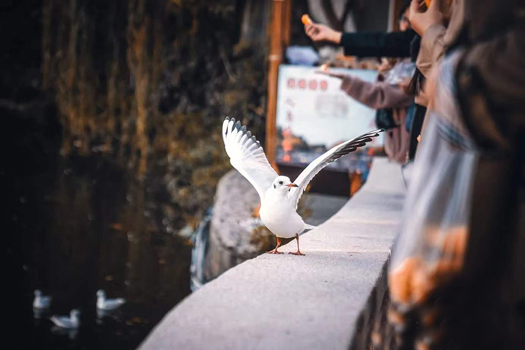 昆明翠湖亚朵酒店丨中国昆明丨TDD.L 今日营造-8