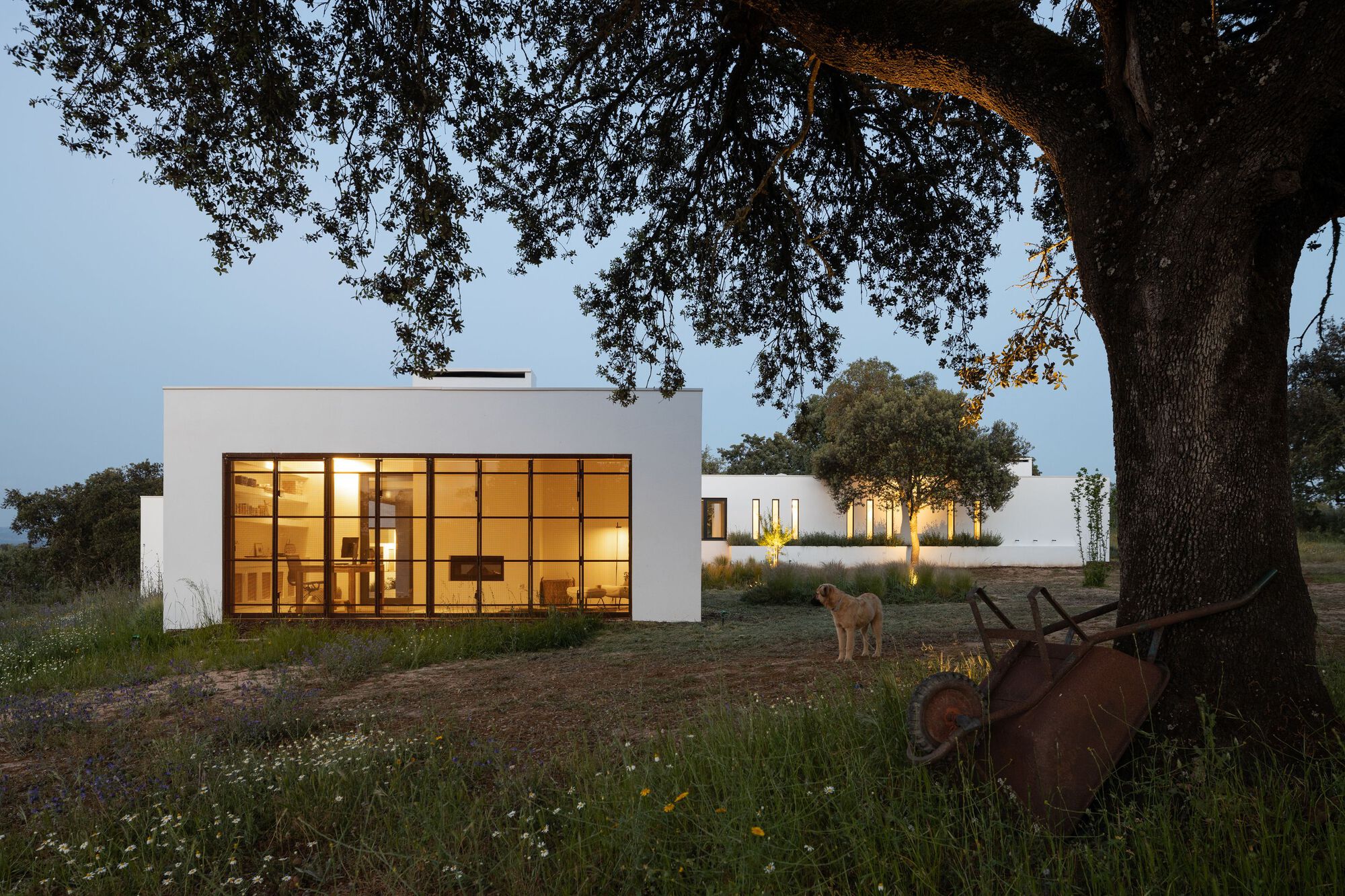 克拉托的房子丨葡萄牙丨Inês Brandão Arquitectura-42