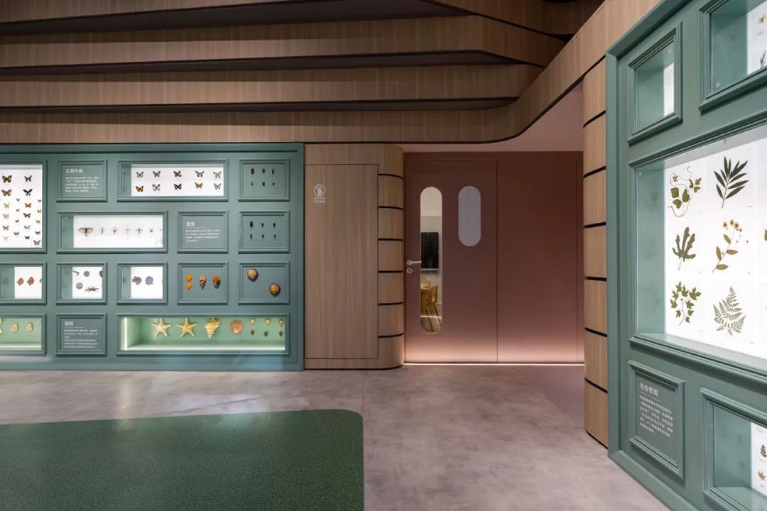 童话般的“Magic Forest”教育空间设计丨秦国鹏,田力伟-0