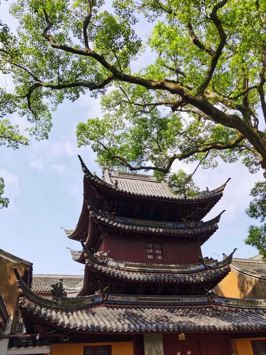 普陀山禅意之旅丨中国普陀丨KLID达观-49