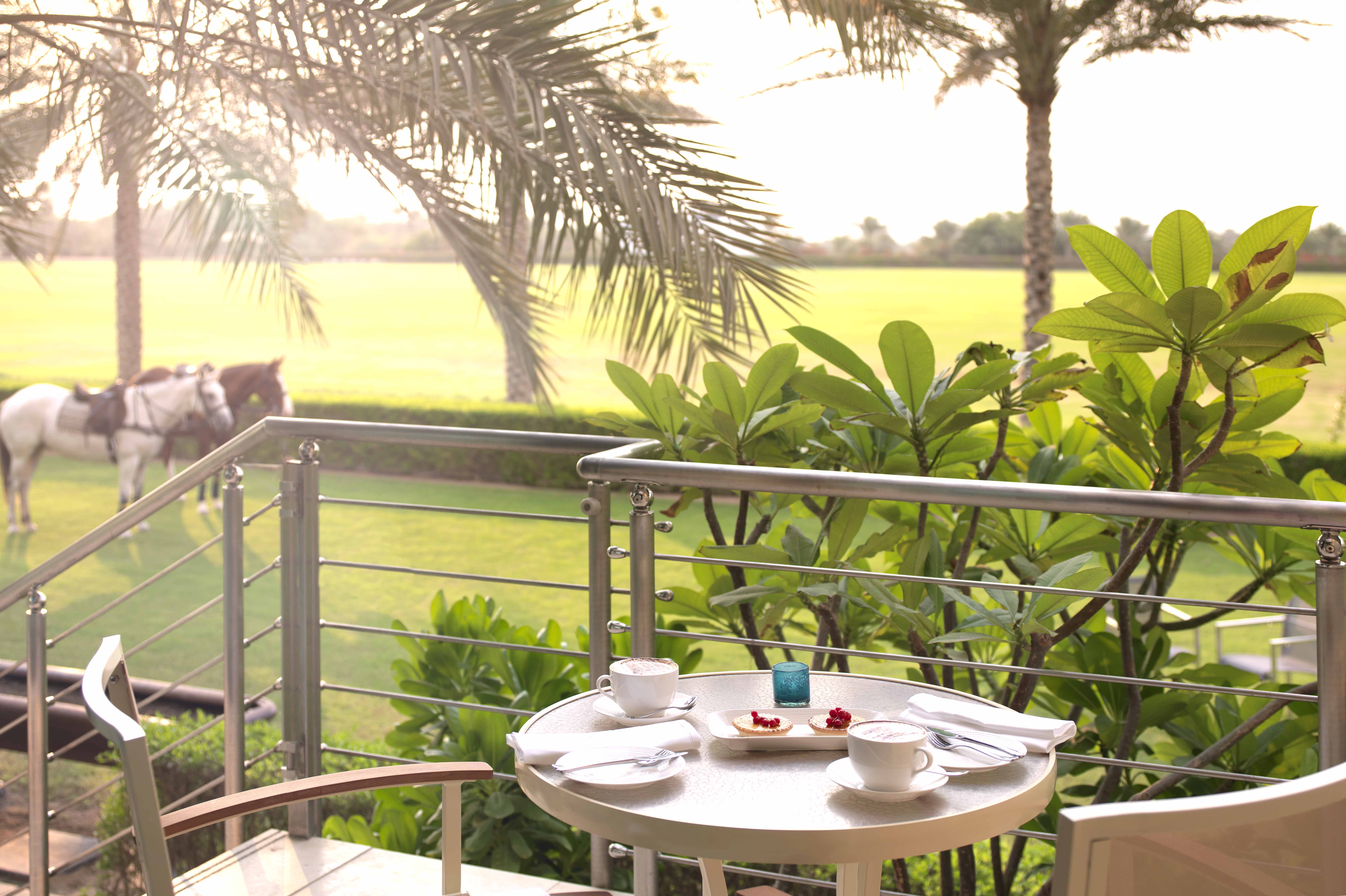 迪拜沙漠棕榈疗养度假酒店-9