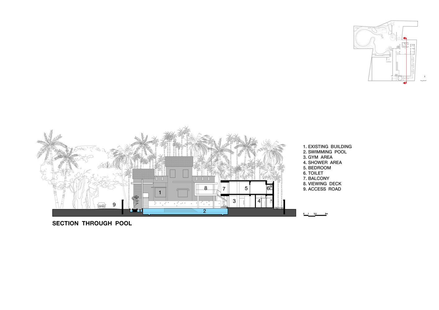 12000 品红棒的独特魅力-40