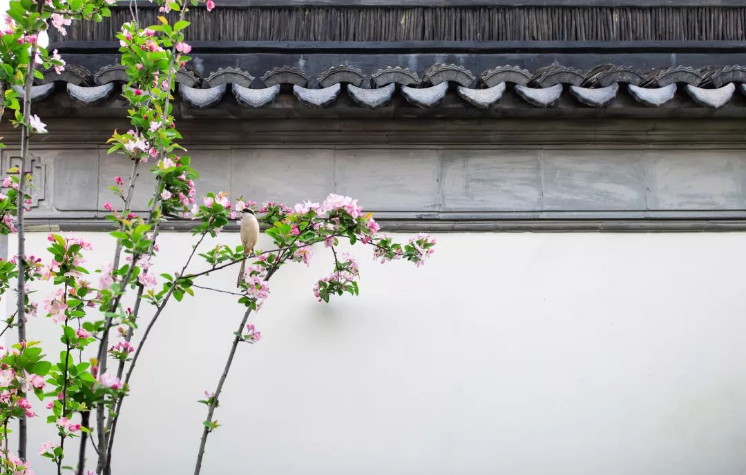 新中式美学大宅,传承中国建筑之美-24