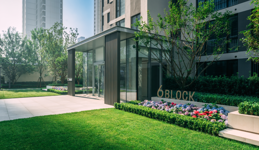 金沙操盘 | 成功经验：从河南火到全国各地（实地考察+主题演讲）-108