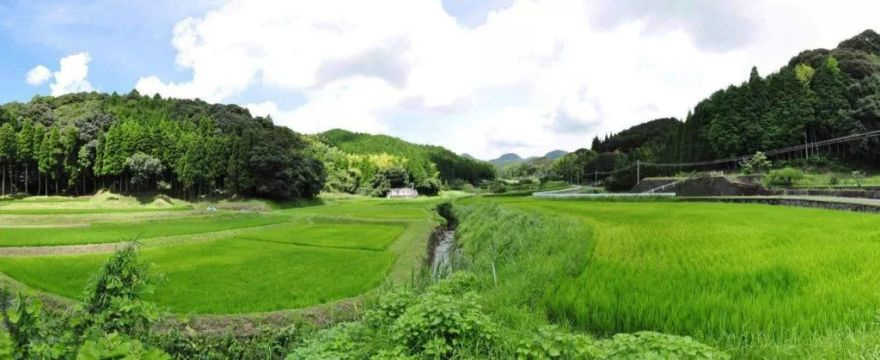 乡间童话 | 一家五口的美满生活-35