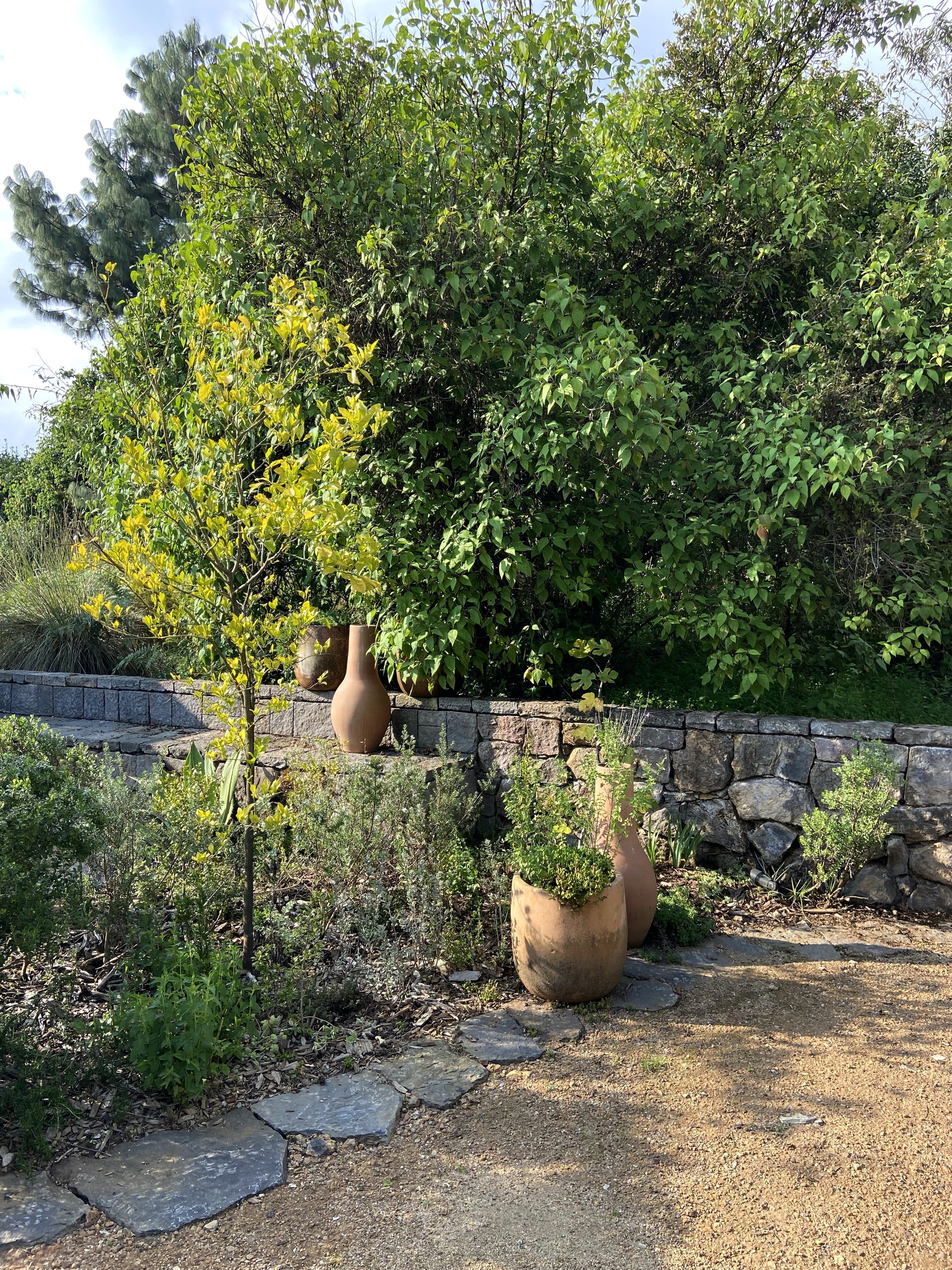 丨墨西哥丨Claudia Rodriguez,Louise Rouzaud-32