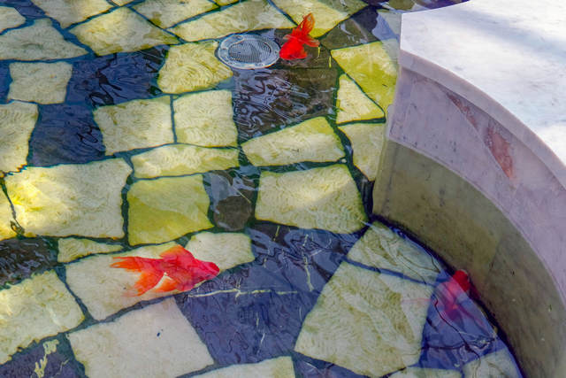 ВДНХ“阿塞拜疆” pavilion喷泉修复项目-12