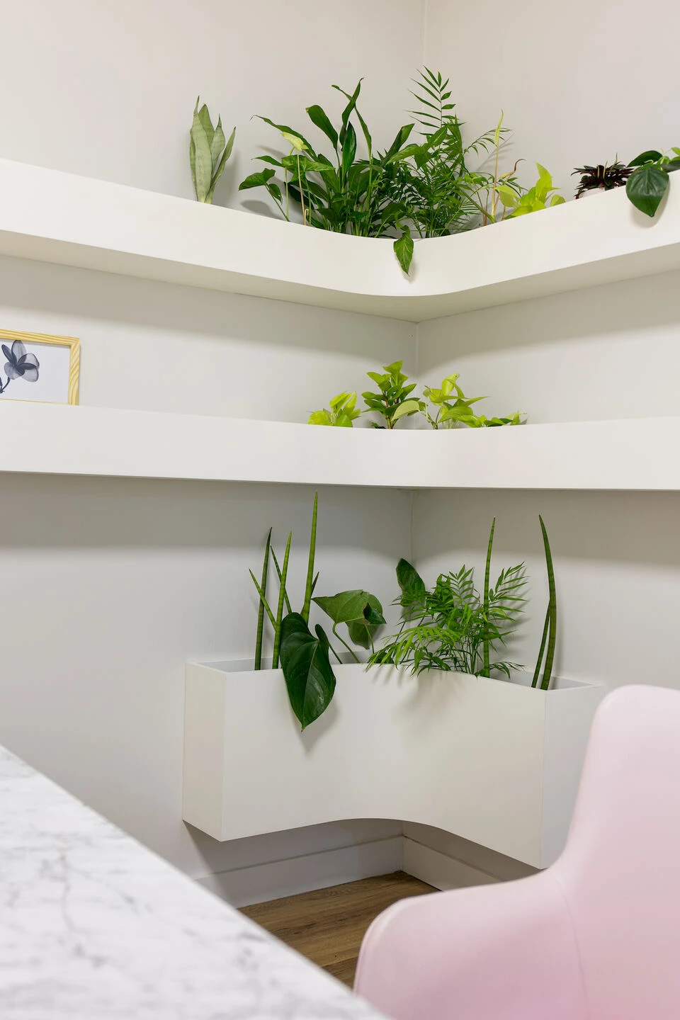 Asa 麻醉诊所丨WF Arquitetos-31