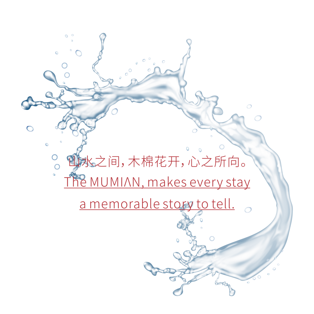 开门纳客丨东进新启航·木棉正当红-12