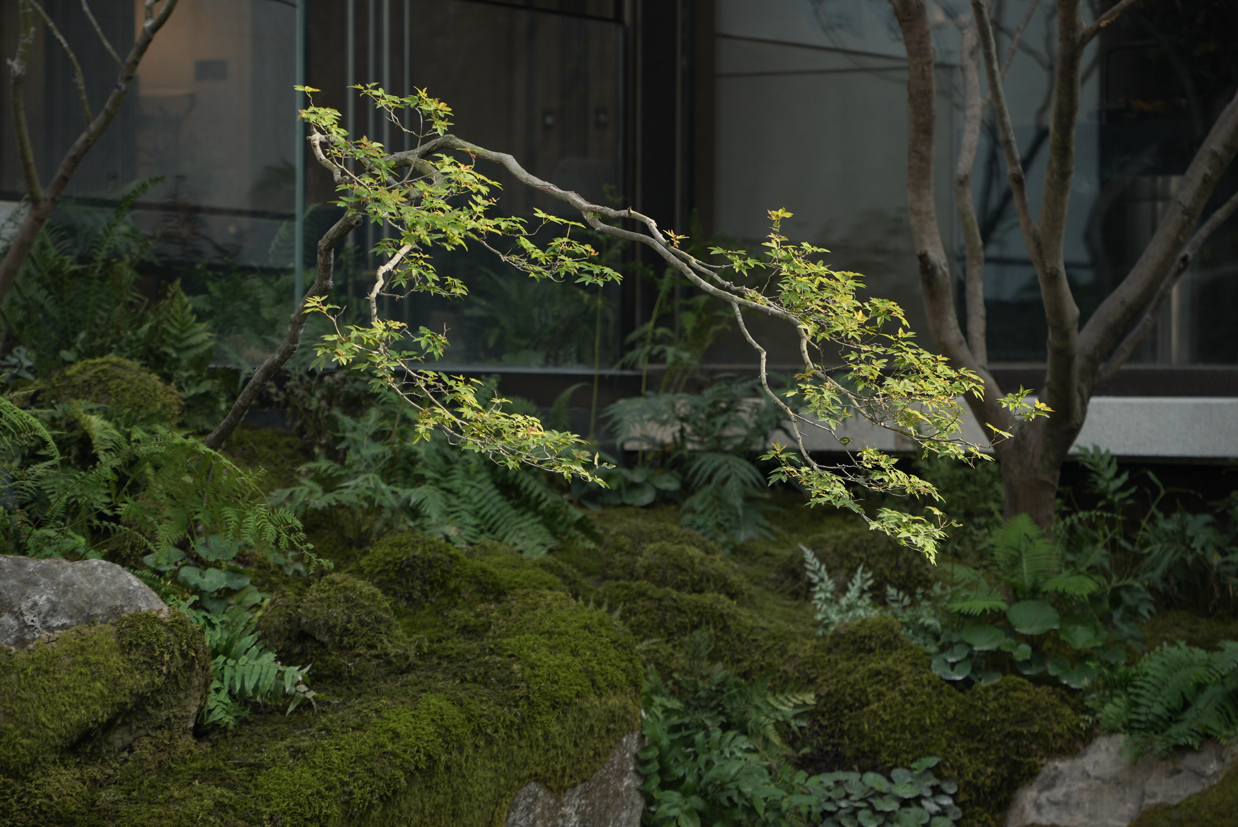 金茂西安璞逸曲江示范区丨中国西安丨MIND 迈德景观-58