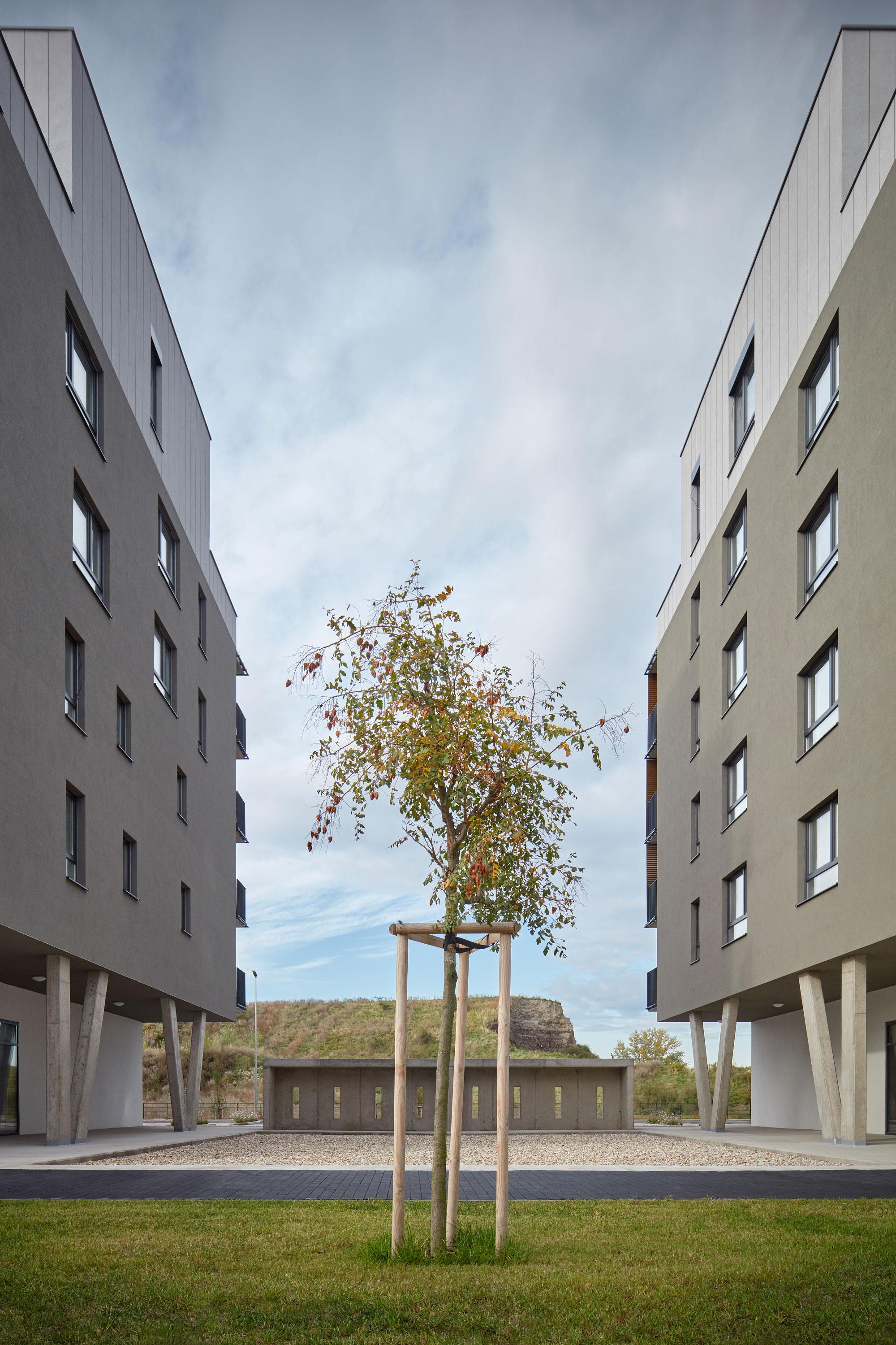 SLNEČNICE   VILADOMY 3  ETAPA COMPASS ARCHITEKTI-3