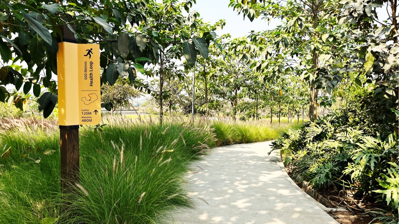 印度戈德雷吉河山中央绿地丨不详-17