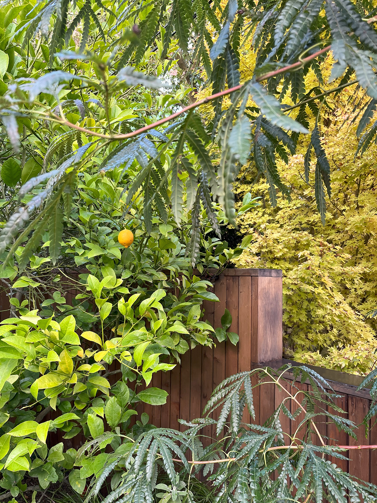 身边风景 | Soft Studio-82