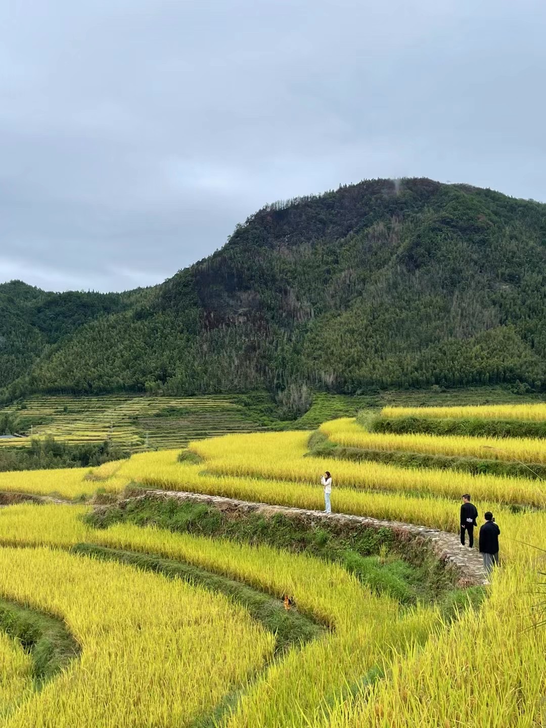 与自然对话:问稻社丨中国福建丨AG汇创,香港汇创国际建筑设计有限公司-128