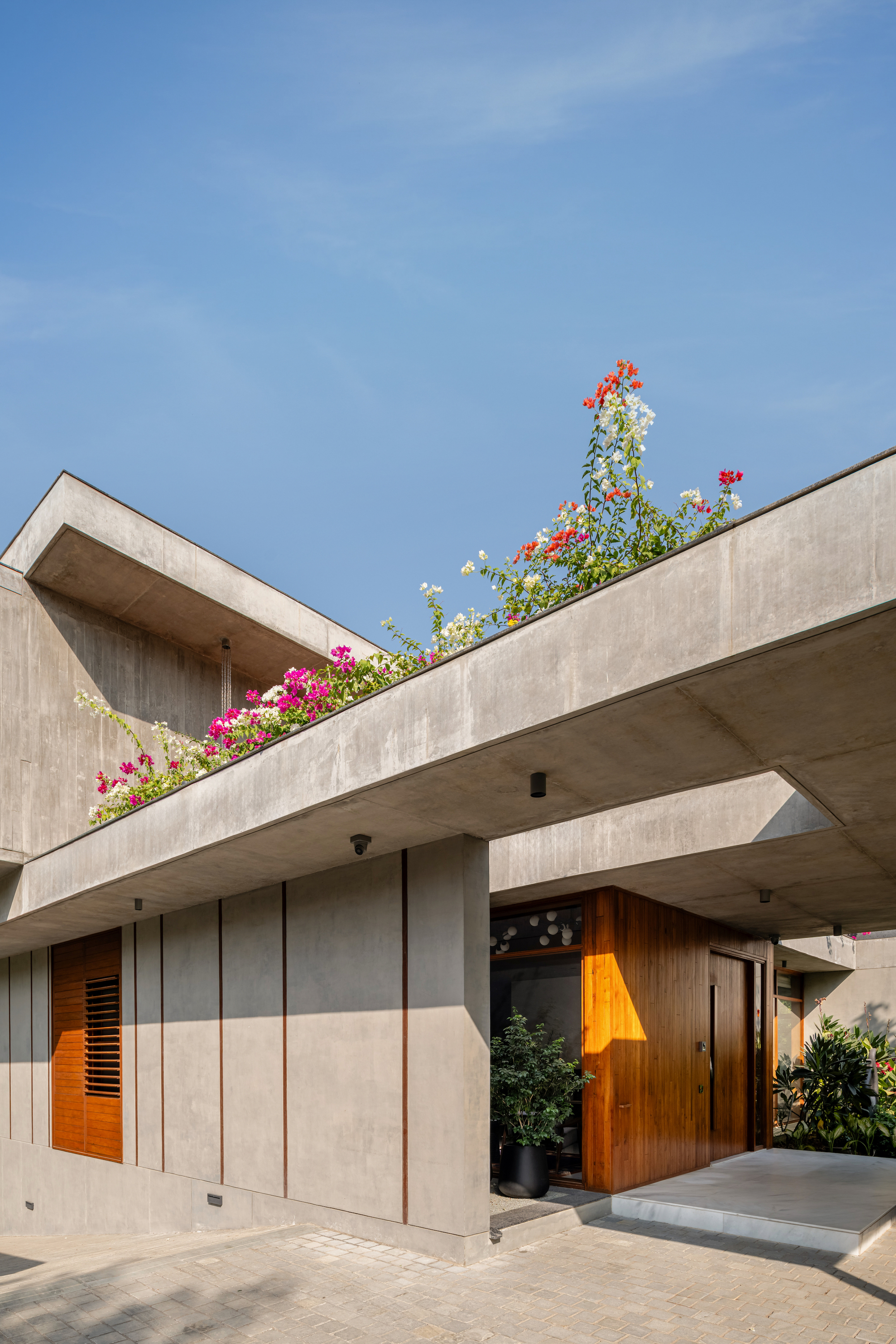 书之屋丨印度丨Modo Designs-26