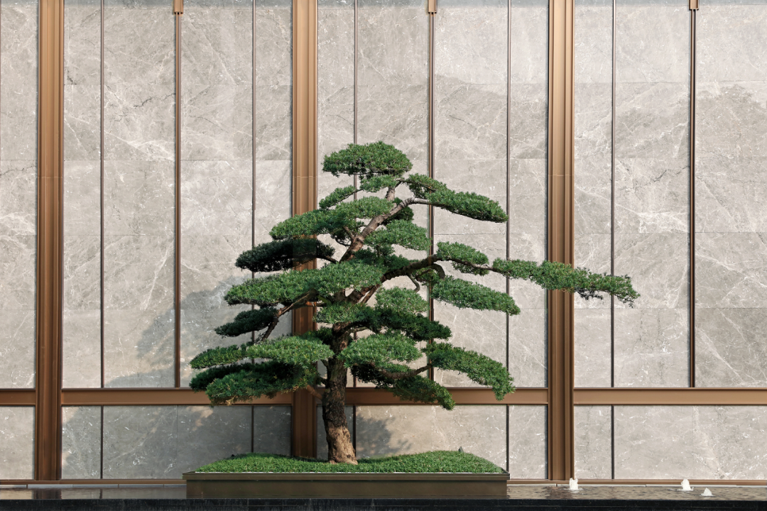 福州榕发锦珹大观丨中国福州丨基准方中,福州建筑设计院等多家公司-34