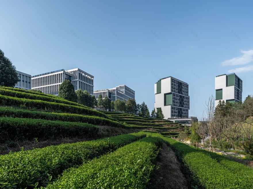 秀峰学生公寓综合体丨中国景德镇丨清华大学建筑设计研究院有限公司-11