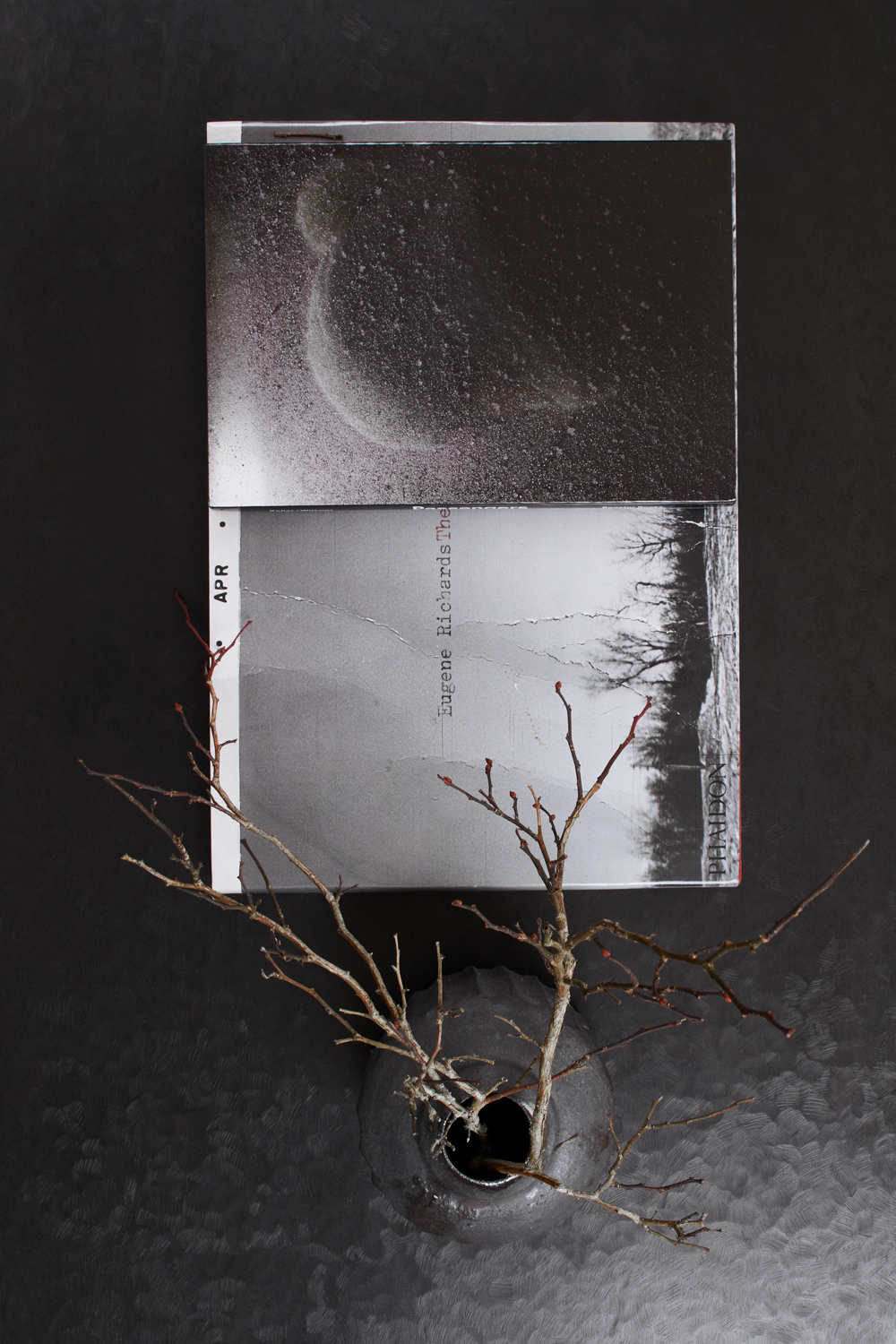 东汉普顿的伍德平克住宅-6