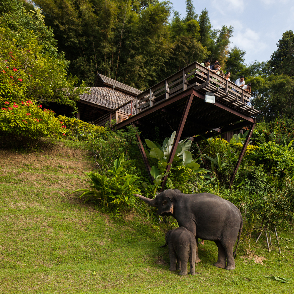 泰国 Hill Lodge 度假村-10