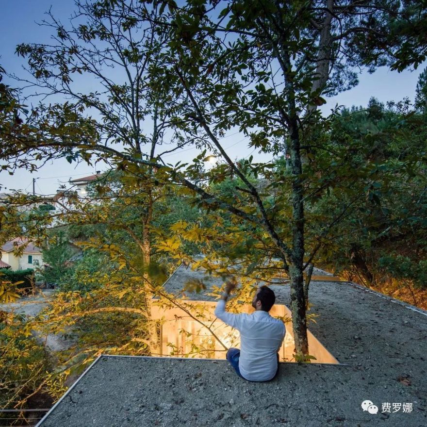 身处野外“隐藏的”房子-6