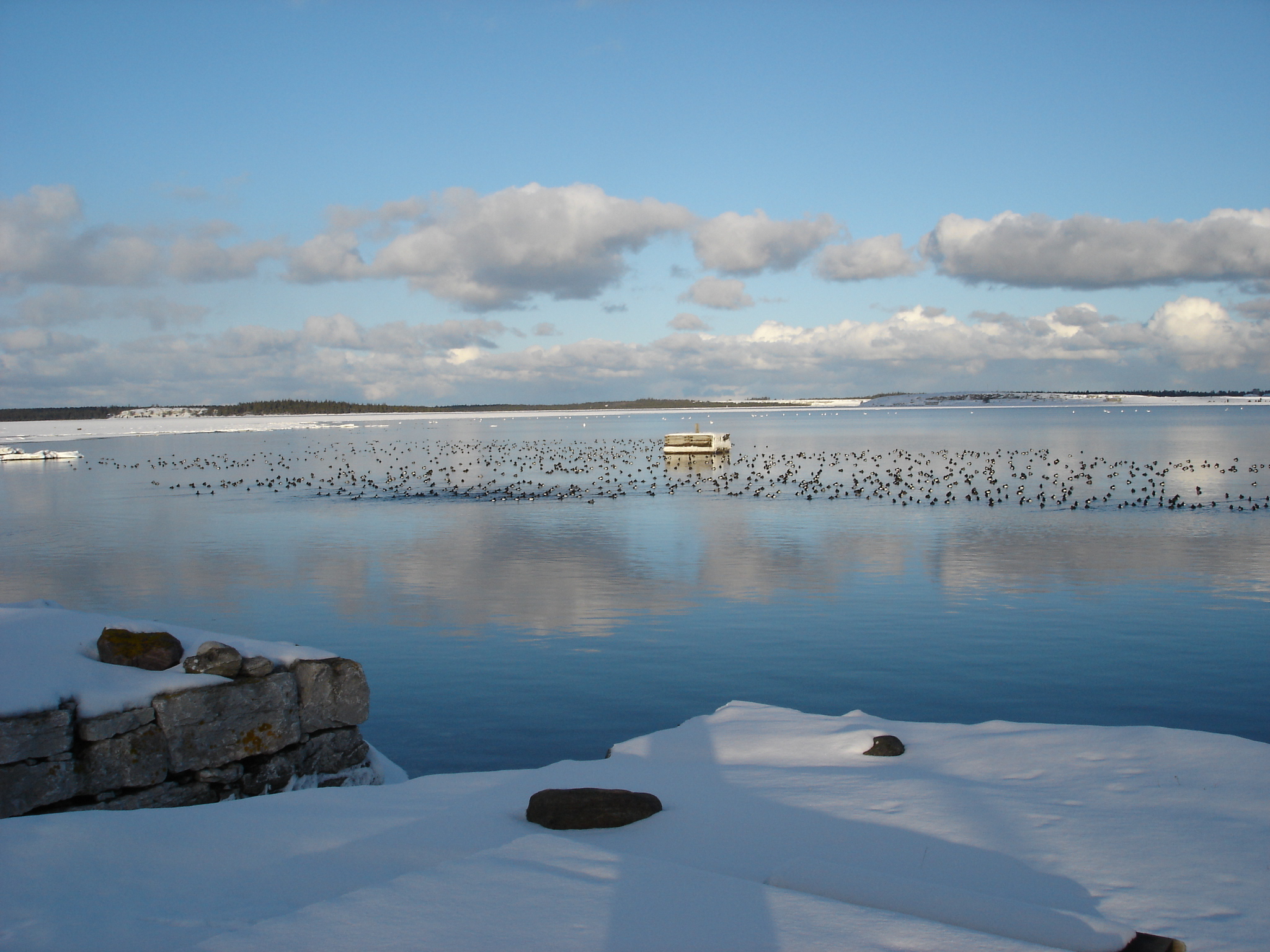 传统与现代共融的 Gotland 住宅区设计-2