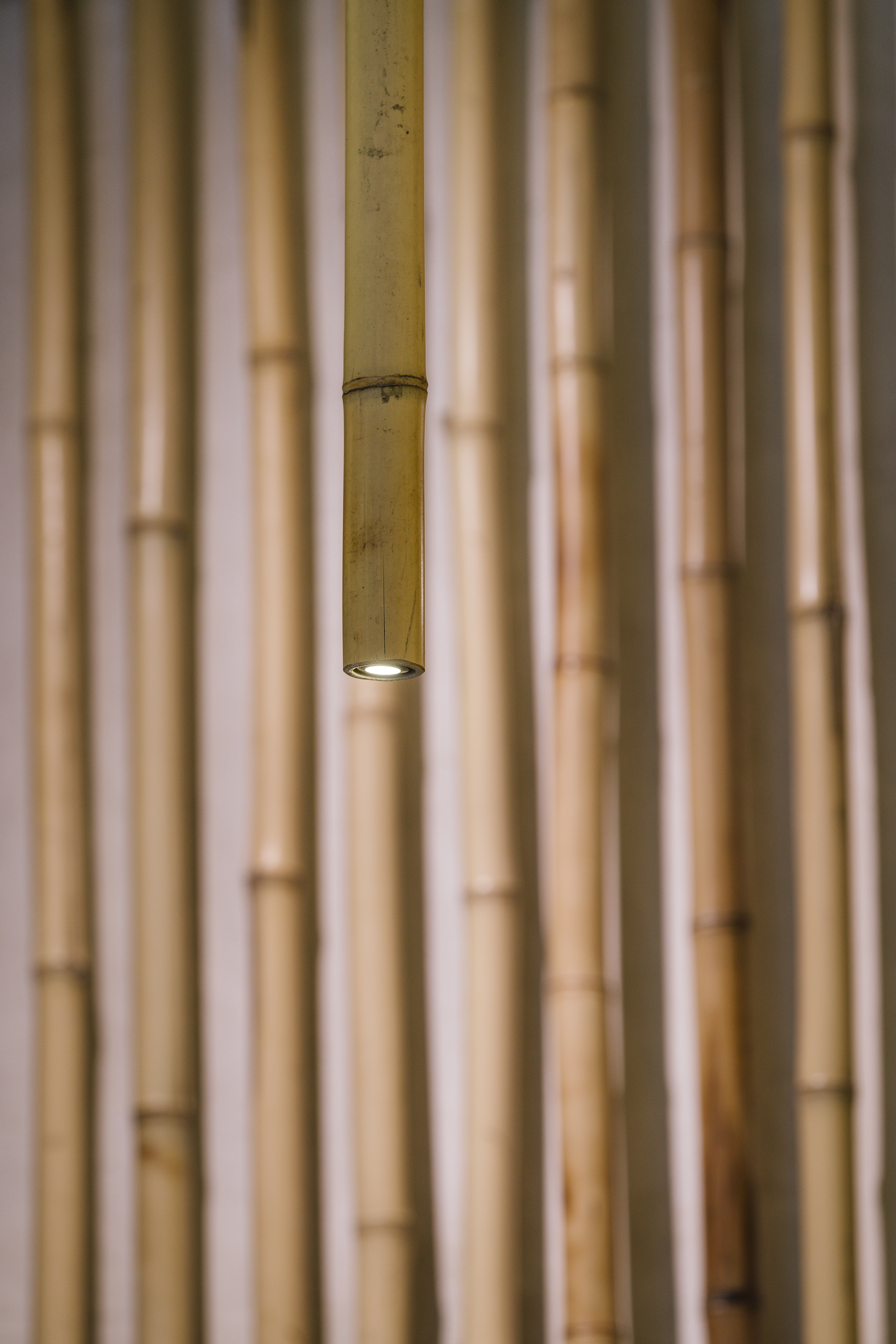 Madrid Nuilea Day Spa | Zooco Estudio 自然氛围的疗愈空间-27