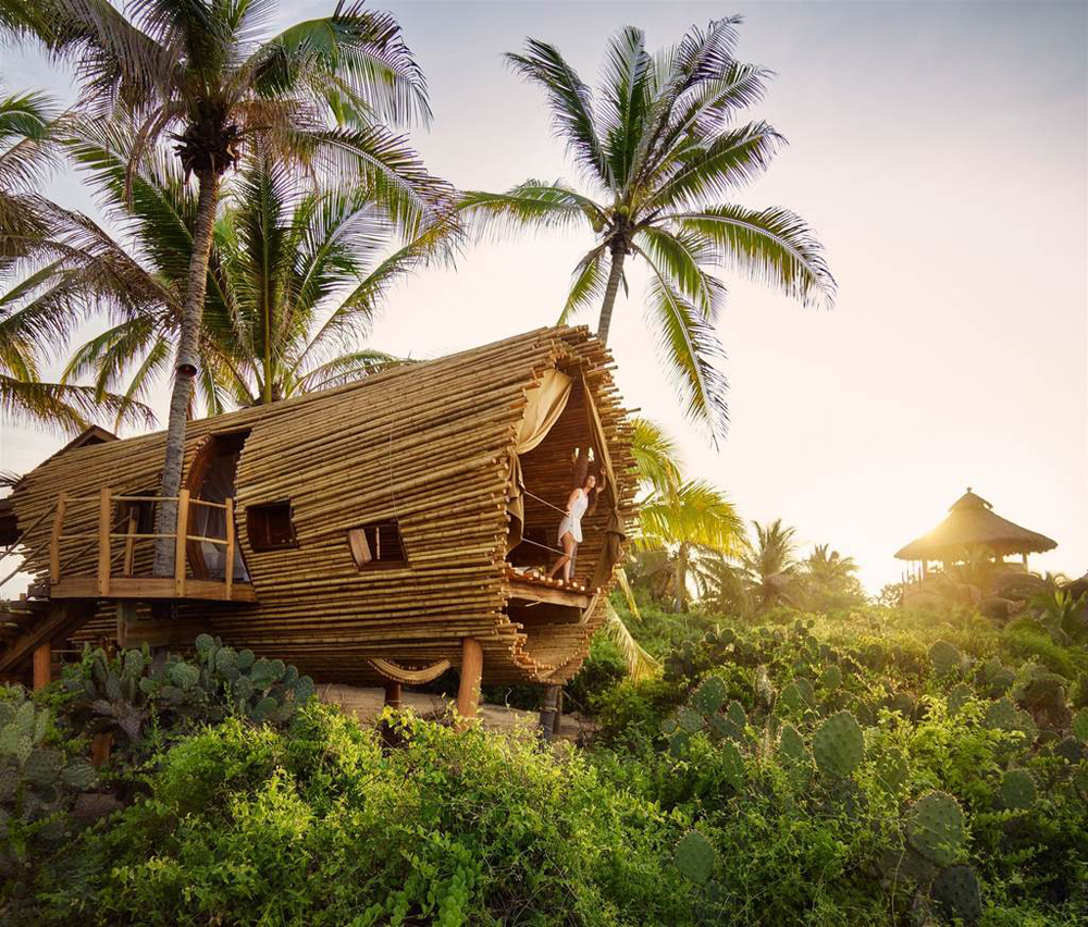 The Great Design Treehouse 10 บ้านต้นไม้ดีไซน์ wow | ออกแบบ ตกแต่งภายใน by Bareo&Isyss-20