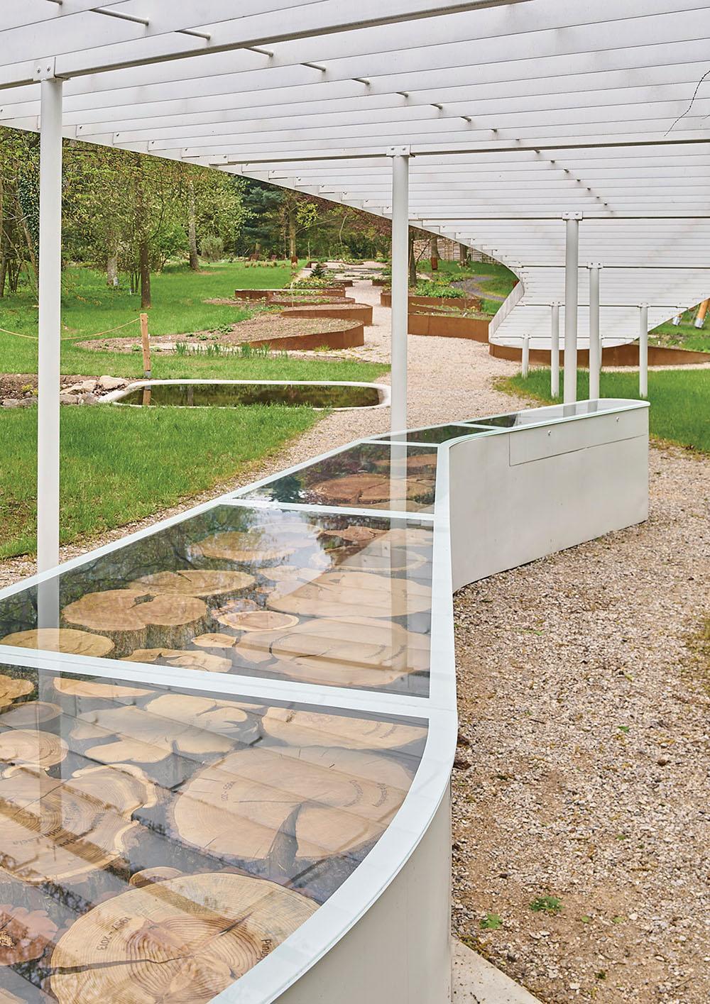 波兰 SGGW 植物园 JRK72 设计的现代展馆-8