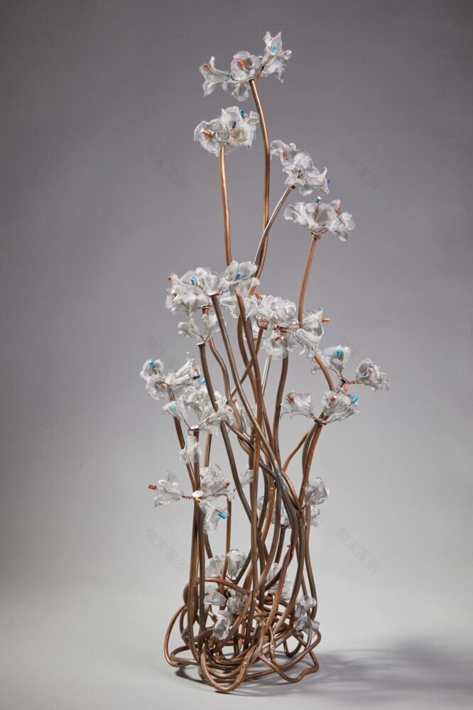 悉尼当代数字艺术博览会-3