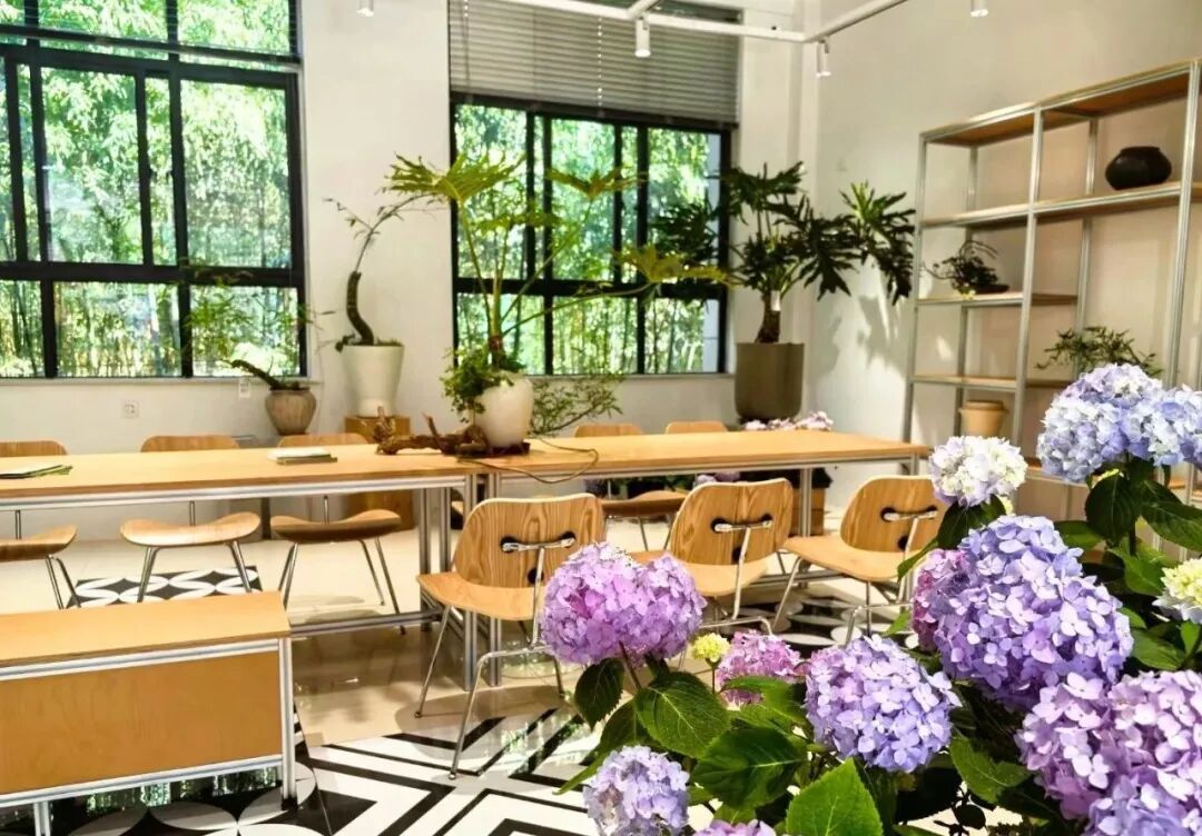 泉城焕新绿▏泉民园艺中心旗舰店-12