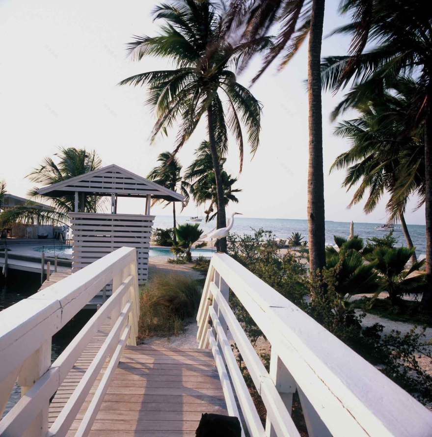 Casa Morada 度假酒店花园改造丨乌拉圭佛罗里达-8