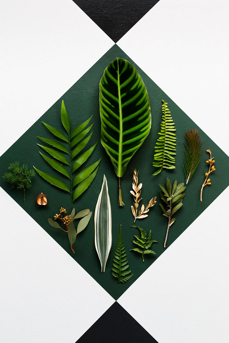 炫彩澳洲室内设计 | Ruth Welsby 的缤纷世界-18