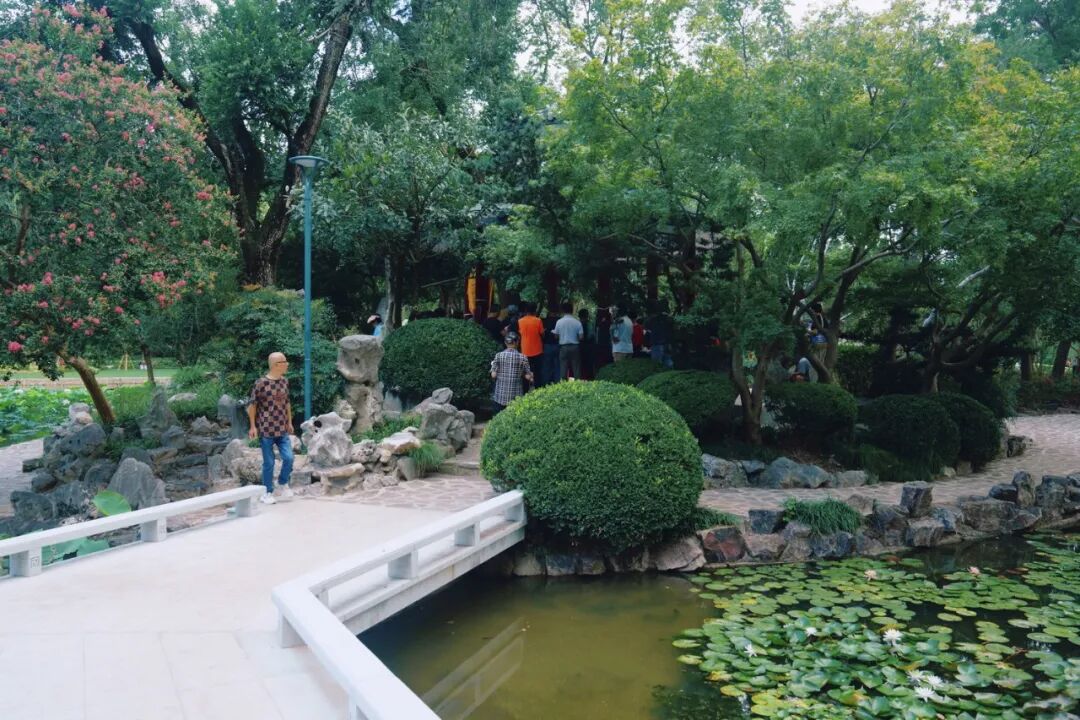 中国园林·理事专栏|“拓”之力量:杨浦公园改造纪实(三)-142