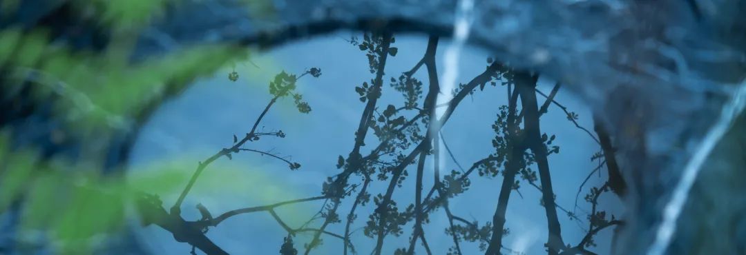 上海浦发仁恒·有园丨中国上海丨上海澜道环境设计咨询有限公司-35