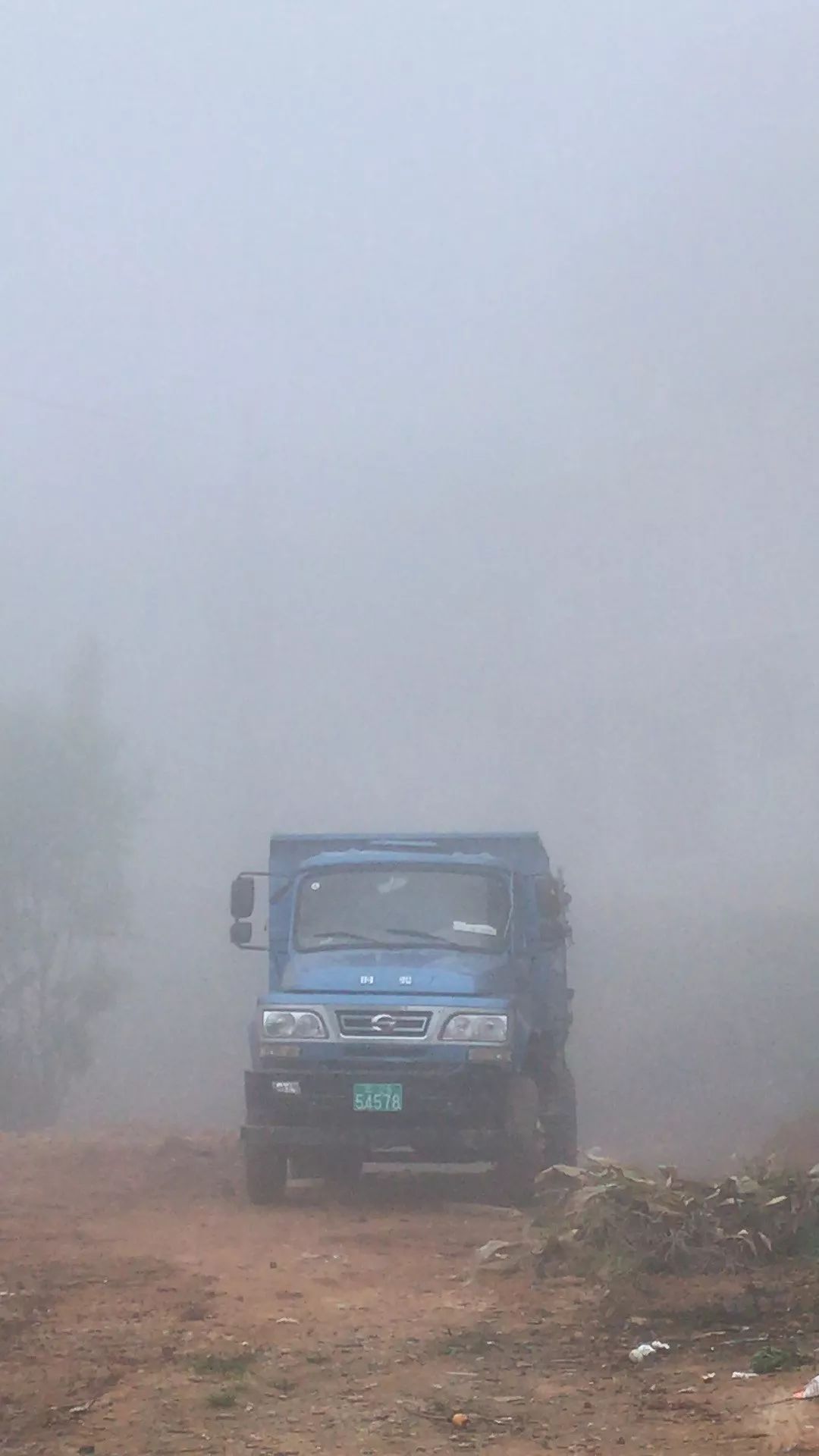 雾中苏红 | 自然、情感与时间的交融-52